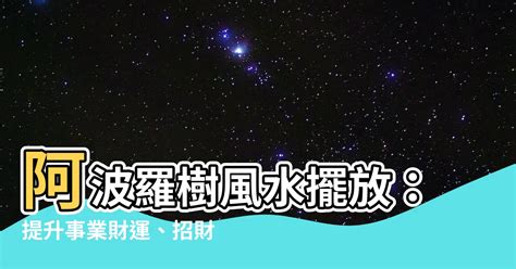 阿波羅樹風水